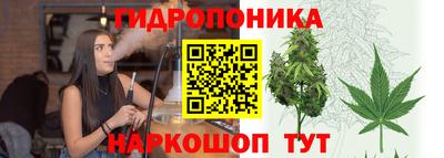 гидра Заволжье