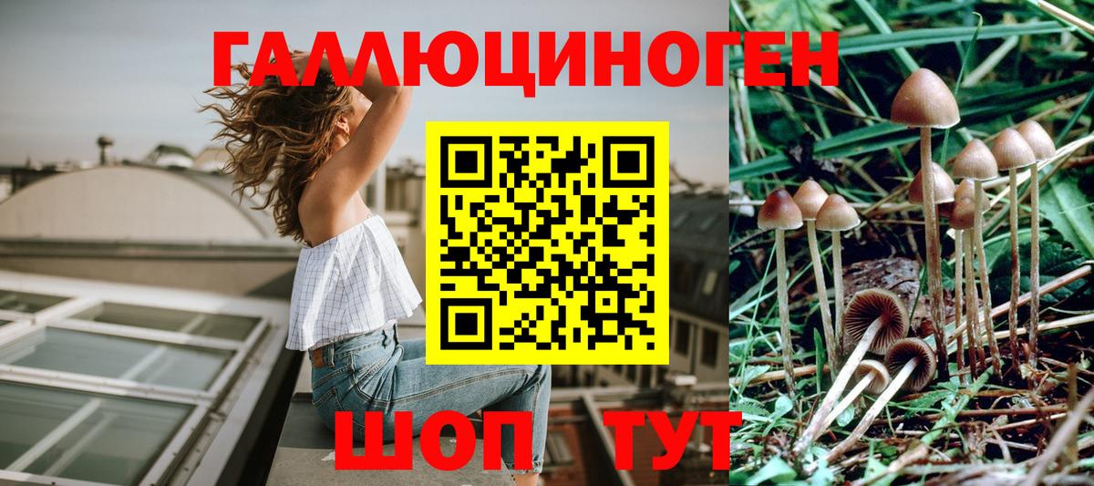 Ликино-Дулёво  Псилоцибиновые грибы Magic Shrooms  Вход с VPN 